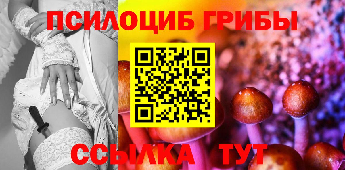 Галлюциногенные грибы Cubensis  Новосибирск  Галлюциногенные грибы Magic Shrooms 