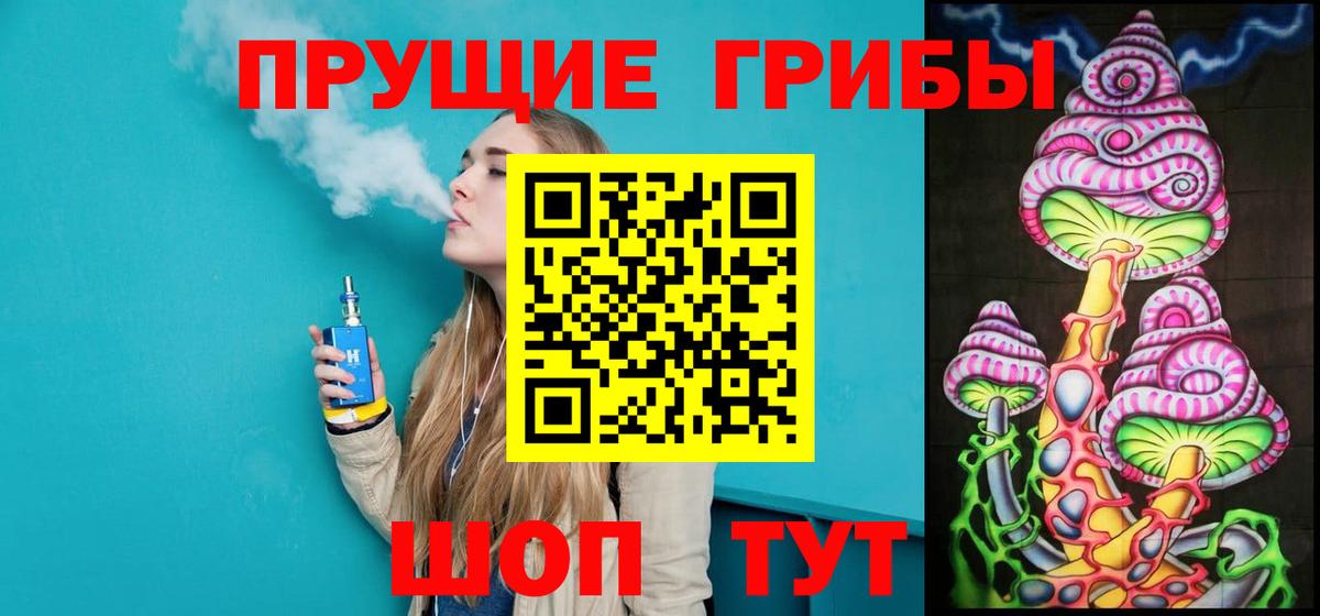 Псилоцибиновые грибы GOLDEN TEACHER  цена наркотик  Новосибирск  Вход с VPN 