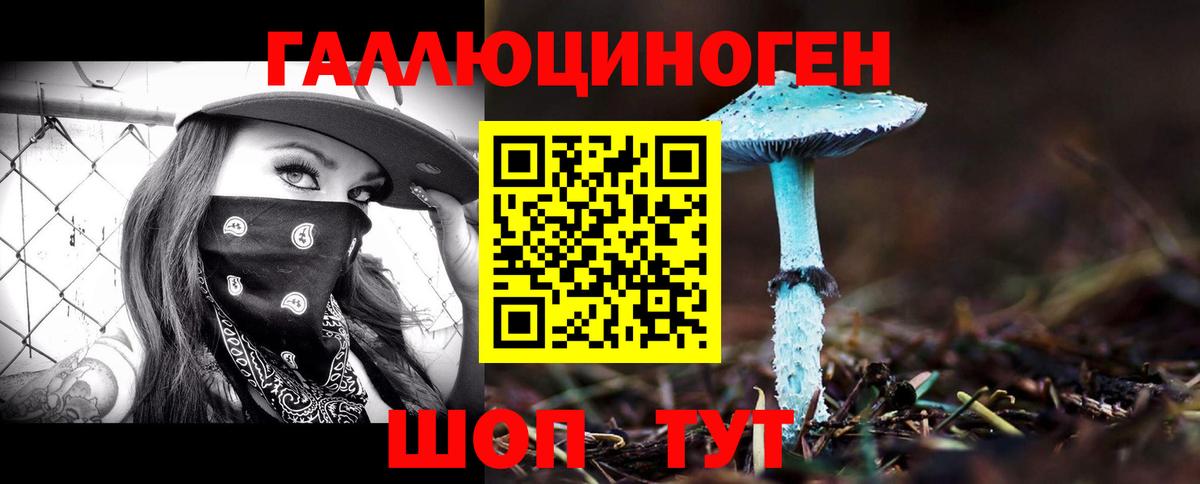Псилоцибиновые грибы прущие грибы Новосибирск